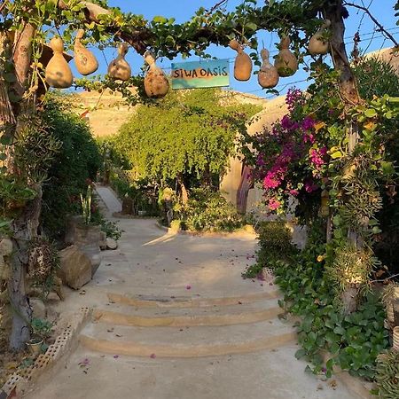 Mountain Camp Ali Khaled Ξενοδοχείο Siwa Oasis Εξωτερικό φωτογραφία