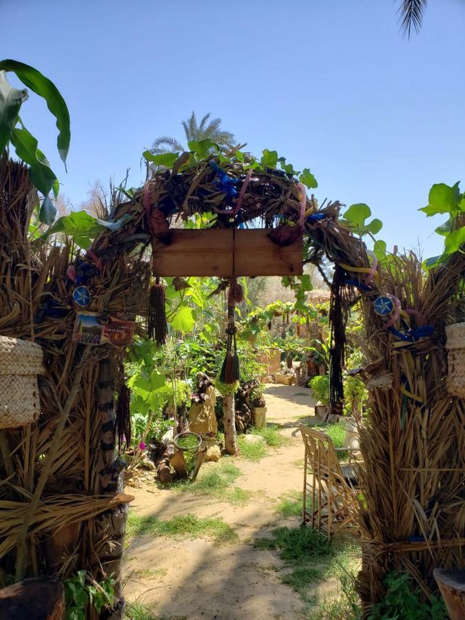 Mountain Camp Ali Khaled Ξενοδοχείο Siwa Oasis Εξωτερικό φωτογραφία