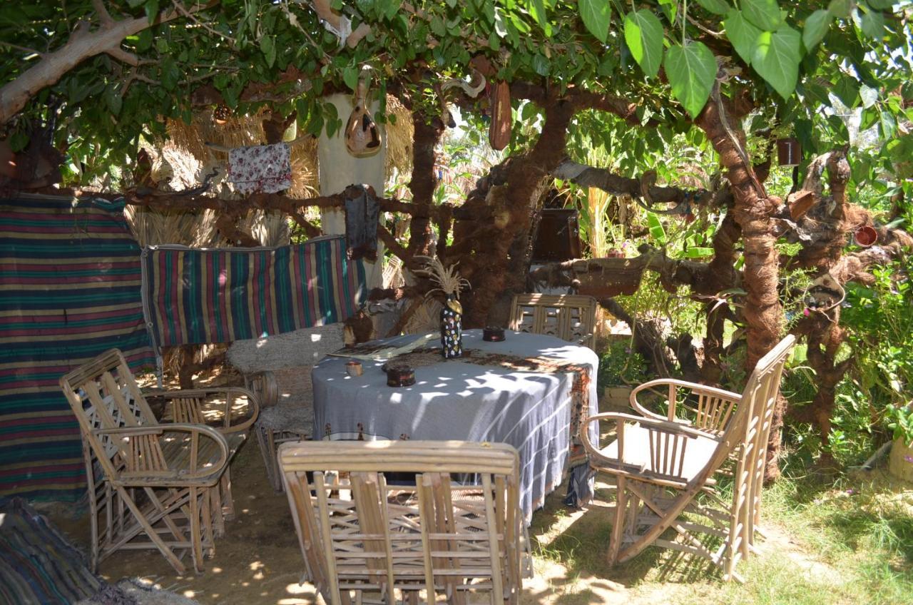 Mountain Camp Ali Khaled Ξενοδοχείο Siwa Oasis Εξωτερικό φωτογραφία