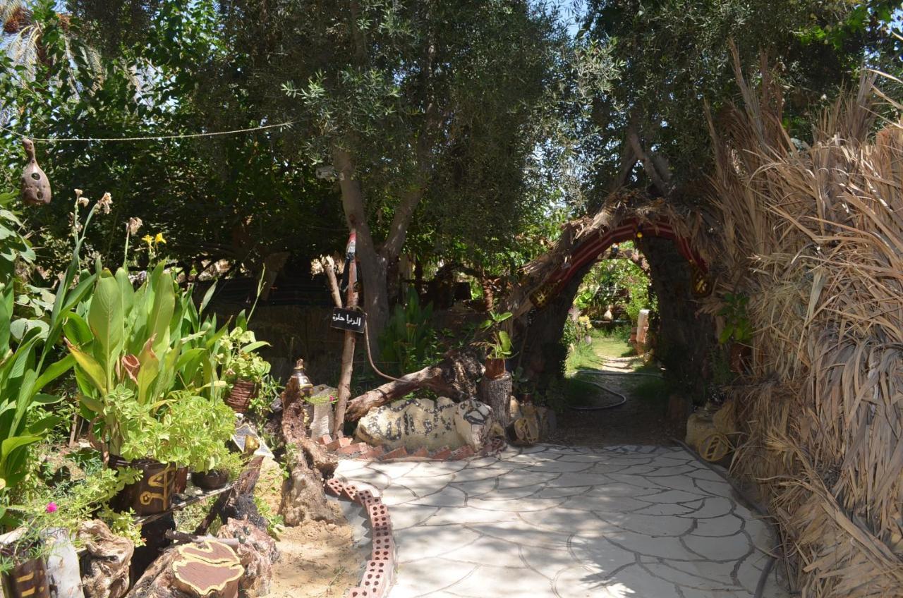 Mountain Camp Ali Khaled Ξενοδοχείο Siwa Oasis Εξωτερικό φωτογραφία
