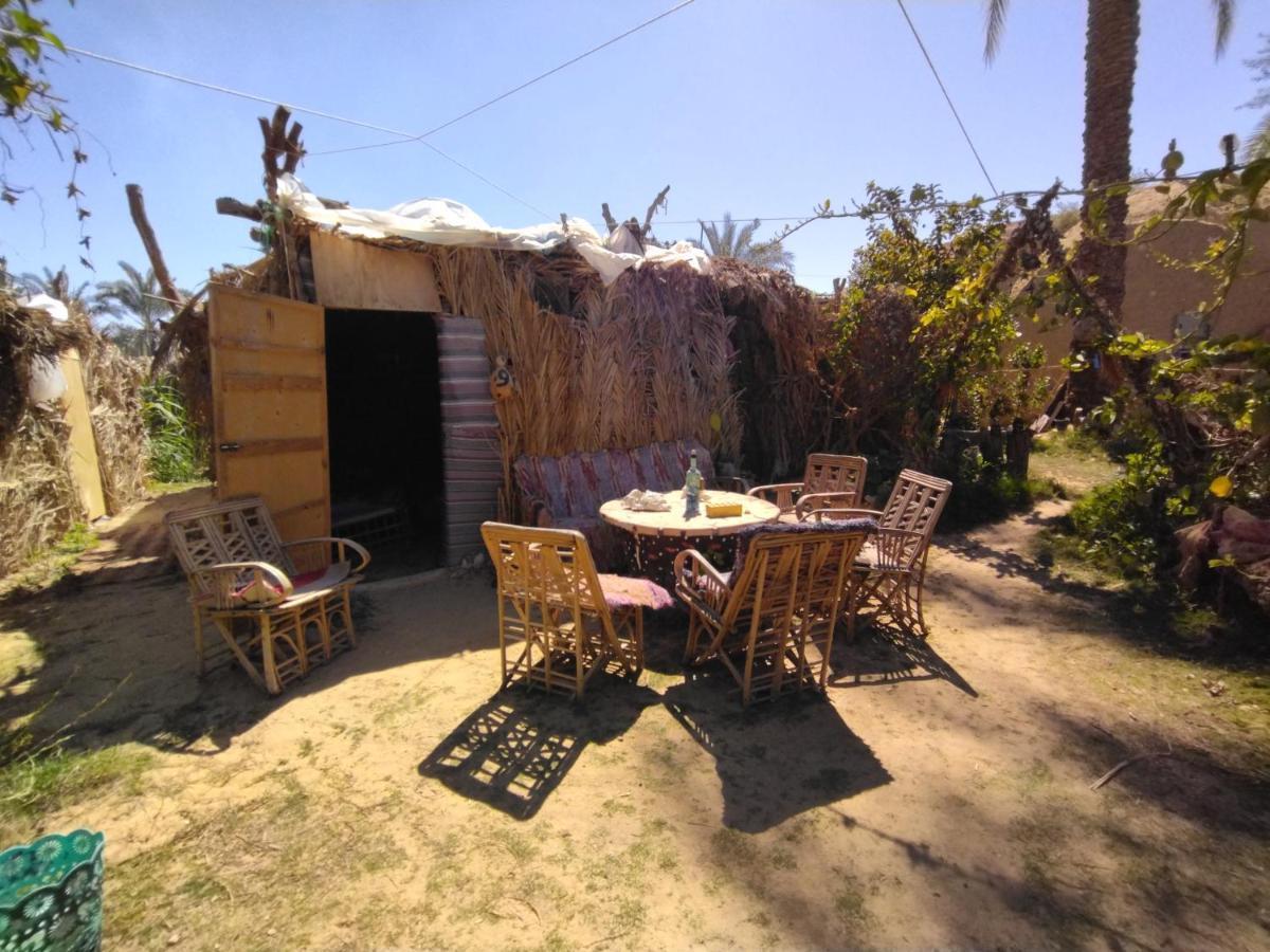 Mountain Camp Ali Khaled Ξενοδοχείο Siwa Oasis Εξωτερικό φωτογραφία