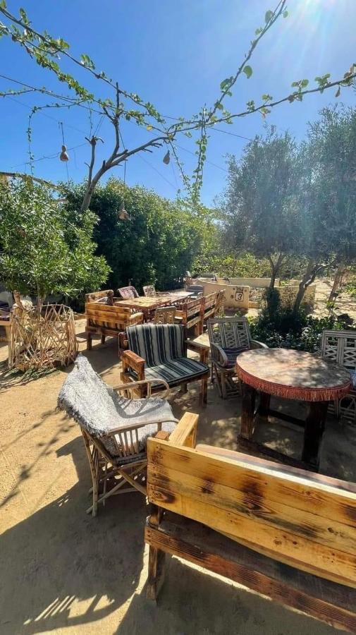 Mountain Camp Ali Khaled Ξενοδοχείο Siwa Oasis Εξωτερικό φωτογραφία